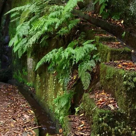 Por Do Sol I Apartment