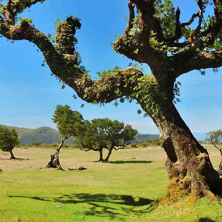 Appartement Por Do Sol I