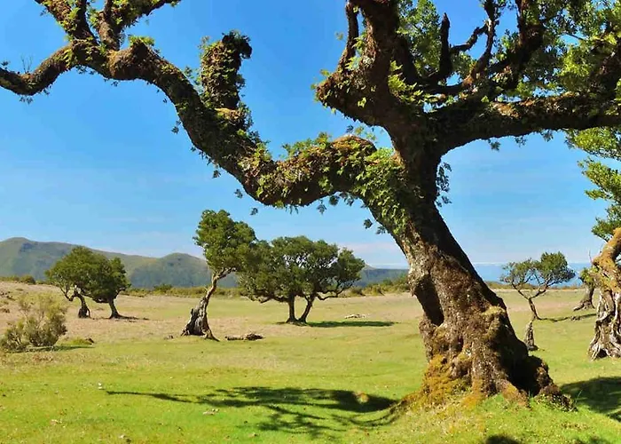 アパート Por Do Sol I